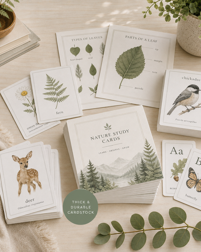 CARDSTOCK